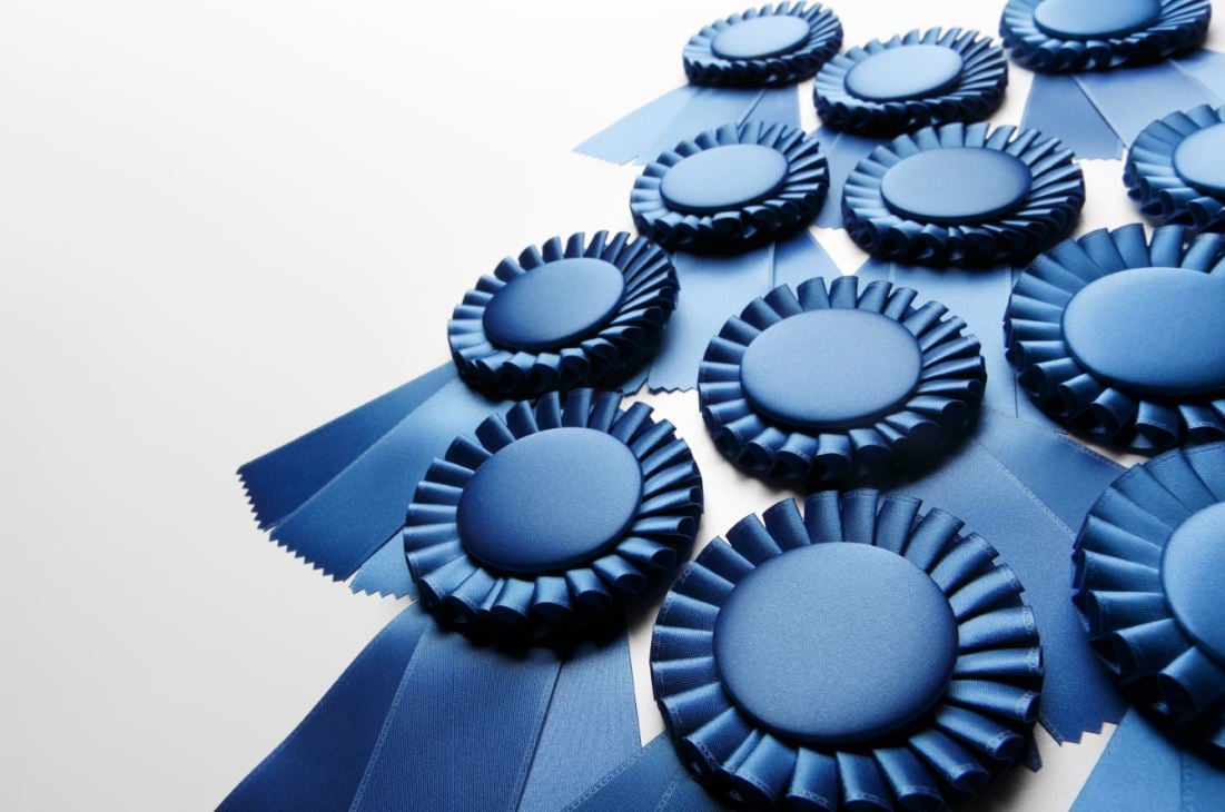 A pile of blue ribbons